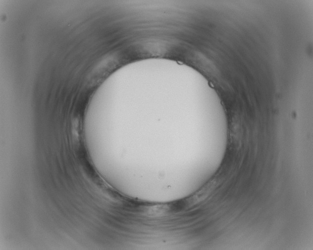 X0000062920122200602031931