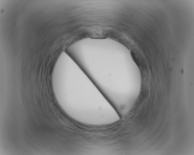 X0000062920125200602031931