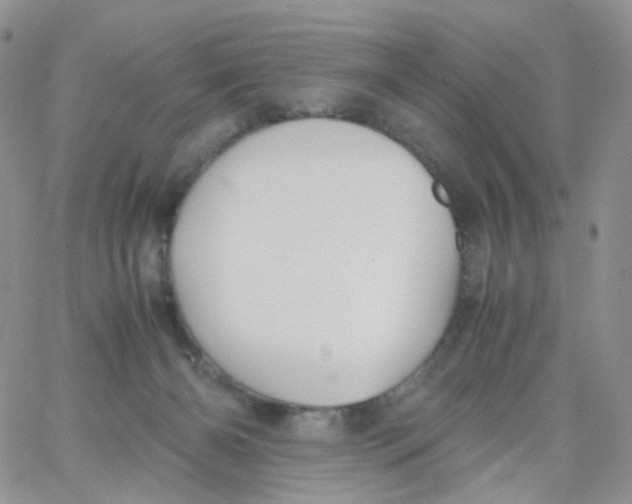 X0000062920126200602031931