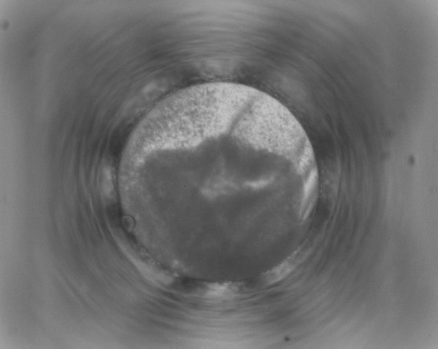 X0000062920130200602031931
