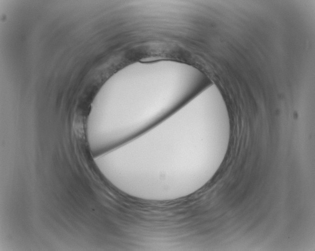 X0000062920137200602031931