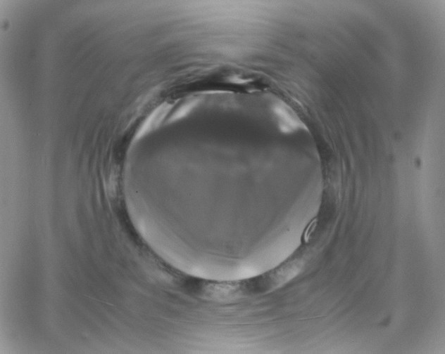 X0000062920139200602031931