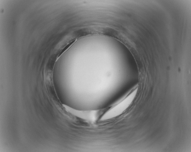 X0000062920141200602031931
