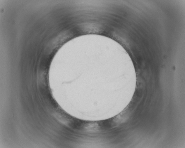 X0000062920162200602031931