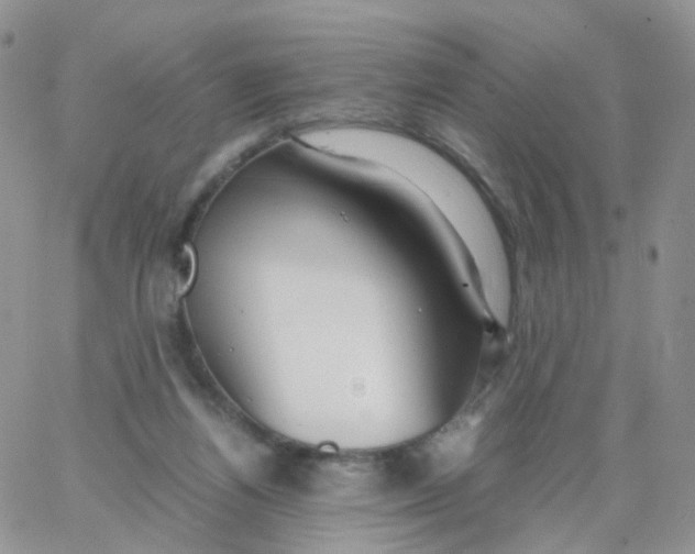 X0000062920164200602031931