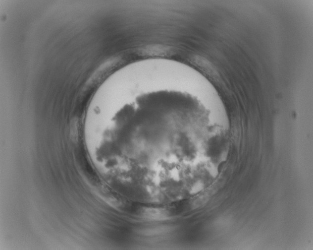 X0000062920167200602031931