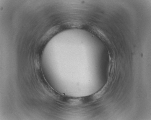 X0000062920170200602031931