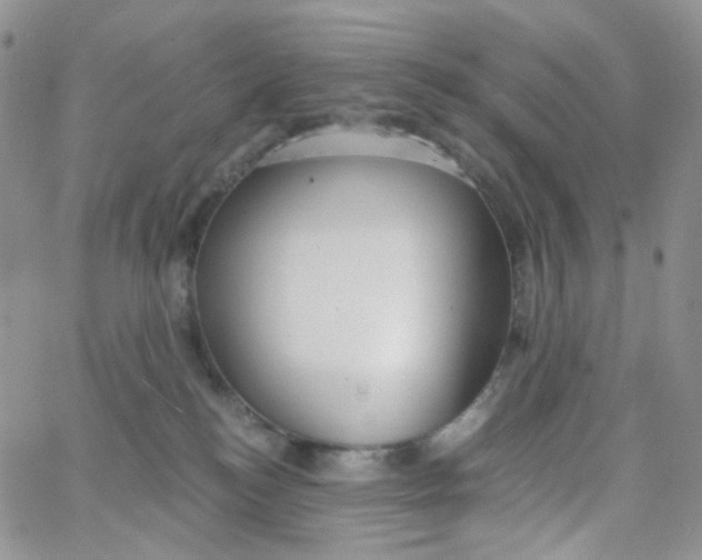 X0000062920184200602031931