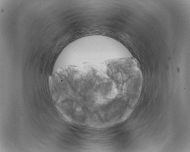 X0000062920185200602031931
