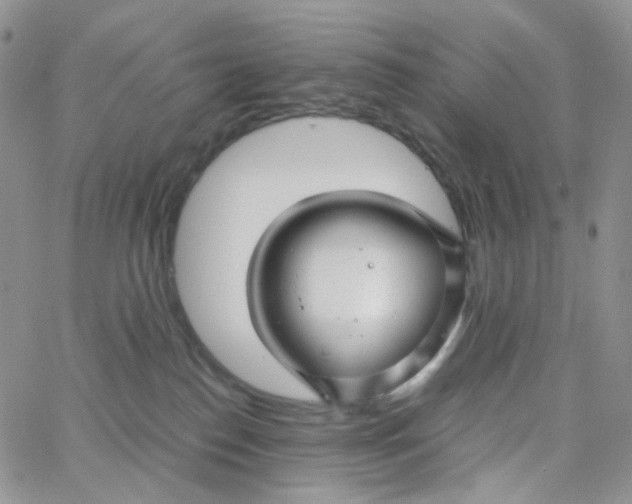 X0000062920186200602031931