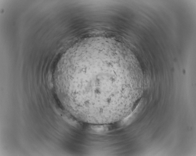 X0000062920187200602031931