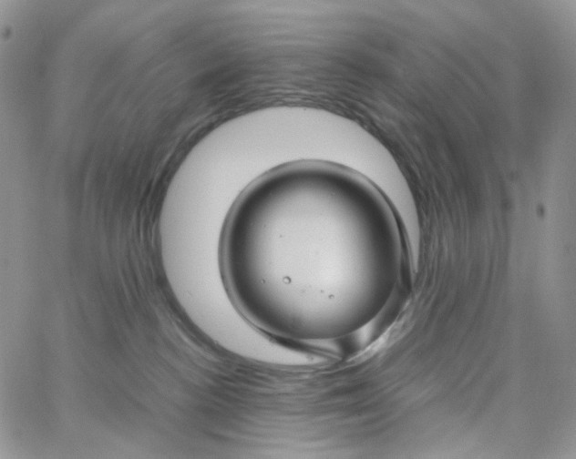 X0000062920188200602031931