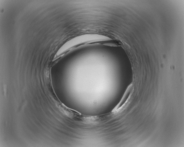 X0000062920192200602031931
