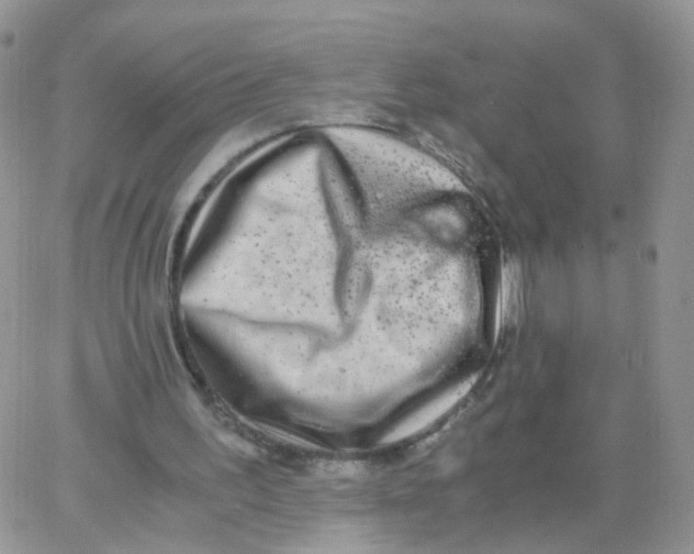 X0000062920195200602031930