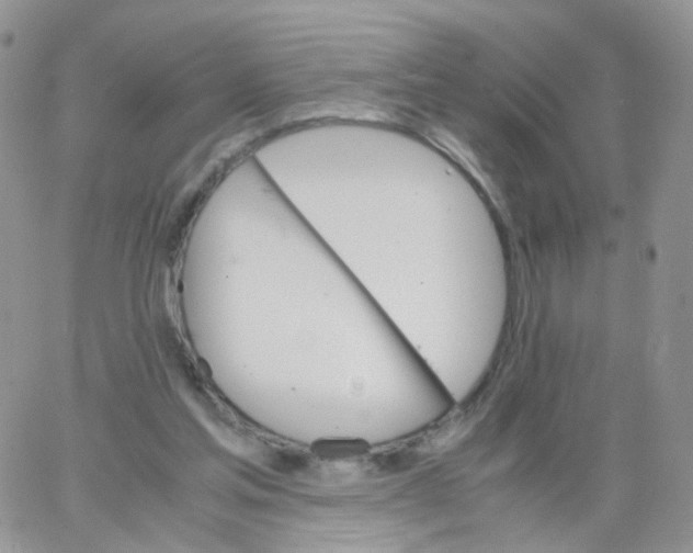 X0000062920205200602031930