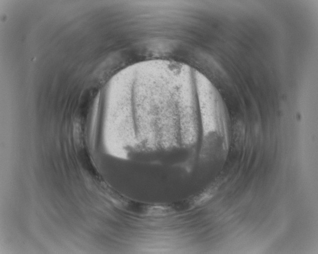 X0000062920222200602031930