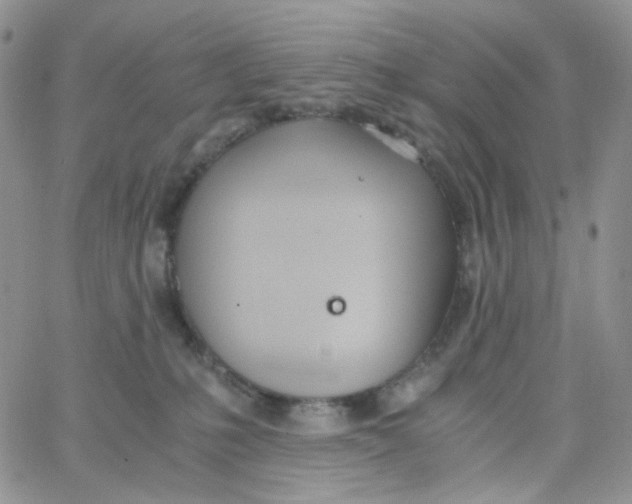X0000062920231200602031930