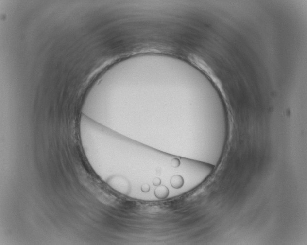 X0000062920249200602031929