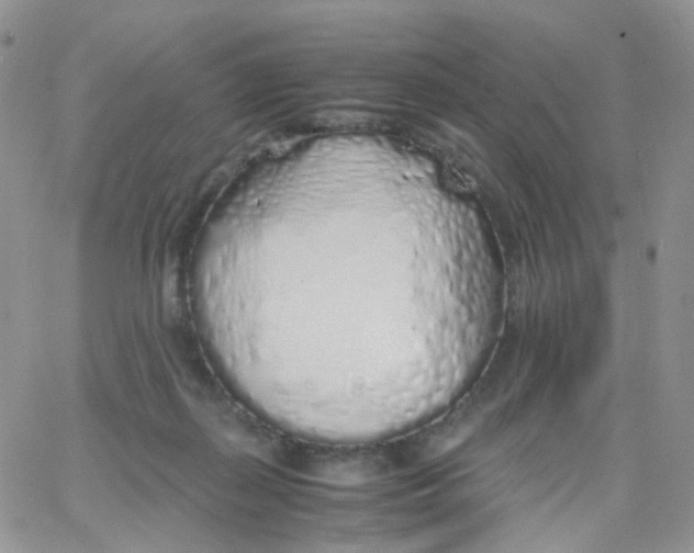 X0000062920267200602031929
