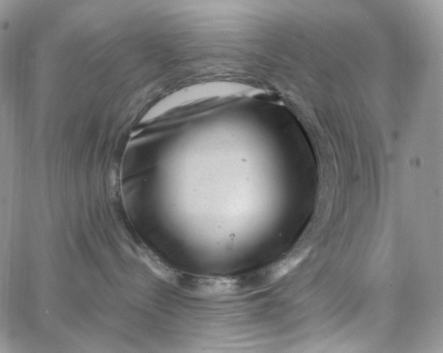 X0000062920288200602031929