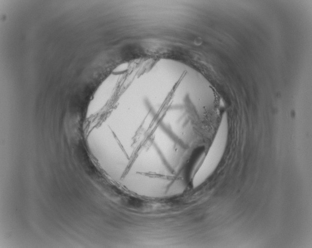 X0000062920319200602031928