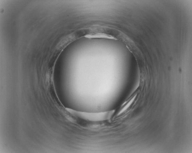 X0000062920333200602031928