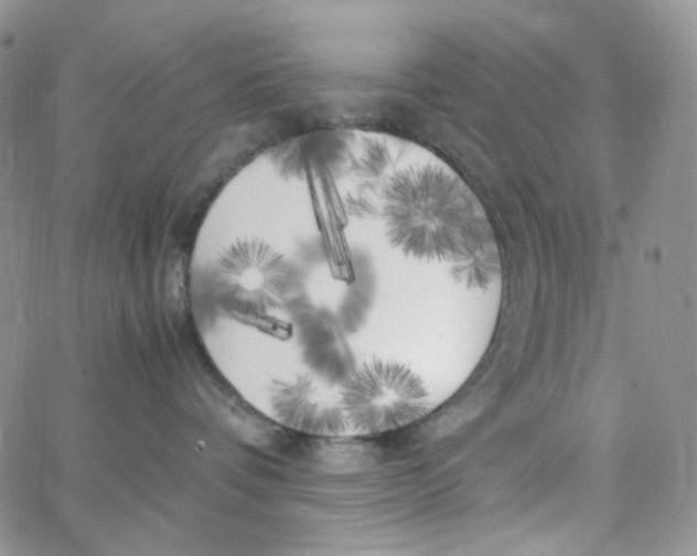 X0000062920336200602031928