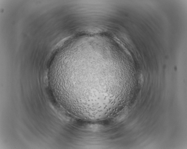 X0000062920360200602031928