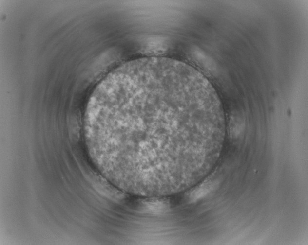 X0000062920370200602031928