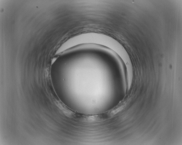 X0000062920382200602031928