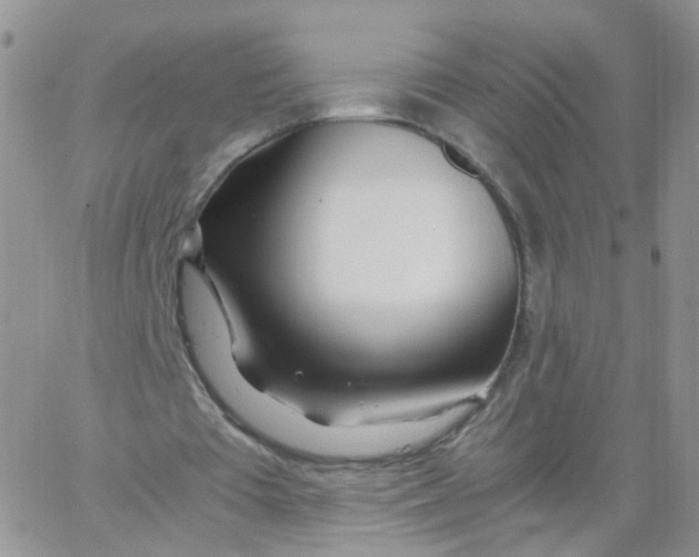 X0000062920385200602031927