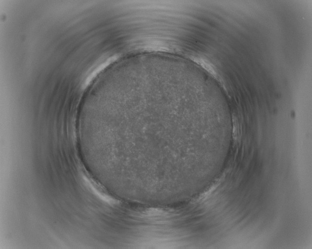 X0000062920390200602031927