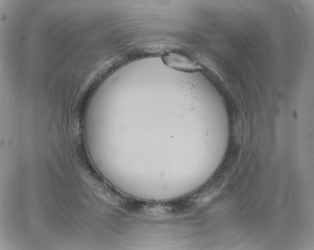 X0000062920407200602031927