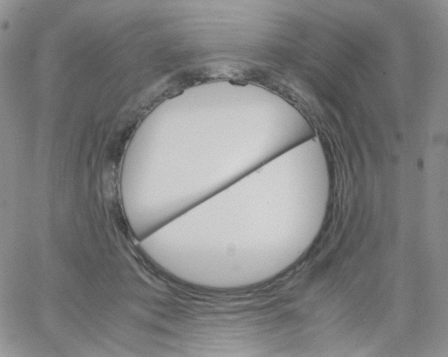 X0000062920413200602031927