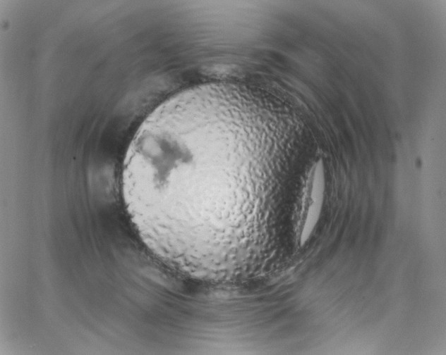 X0000062920420200602031927