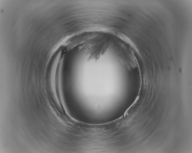 X0000062920436200602031926