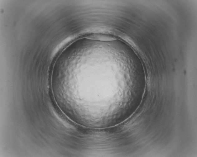 X0000062920438200602031926