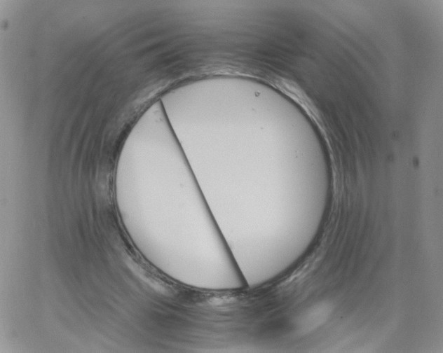 X0000062920441200602031926