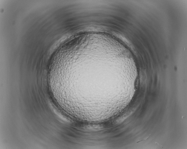X0000062920445200602031926