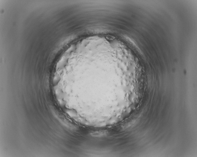 X0000062920447200602031926