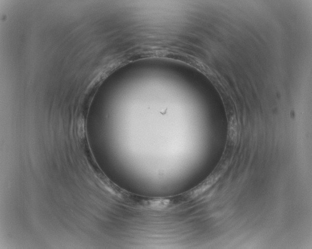 X0000062920474200602031926