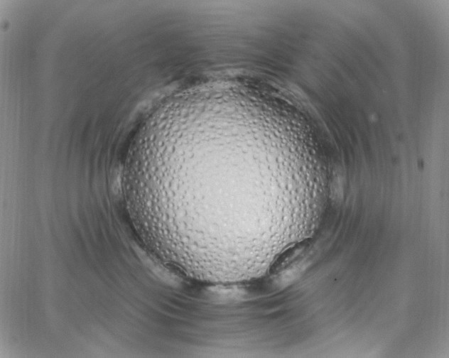 X0000062920477200602031926