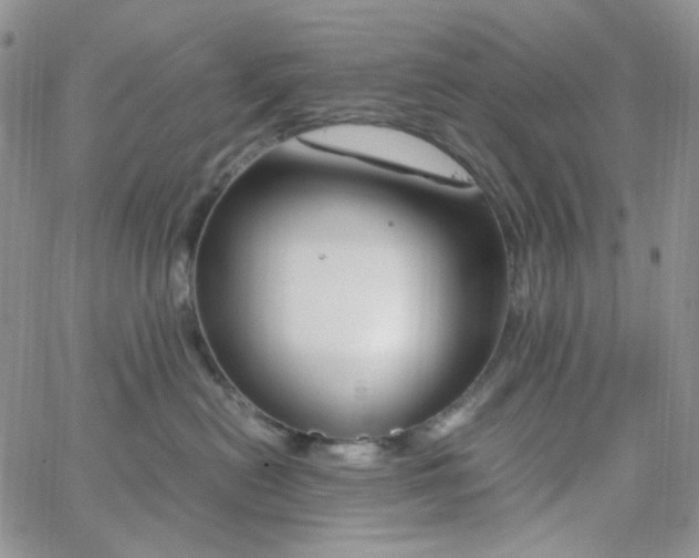 X0000062920478200602031926