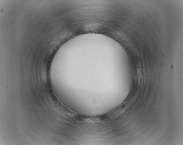 X0000062920508200602031925