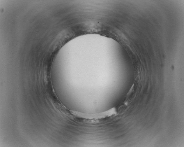 X0000062920512200602031925
