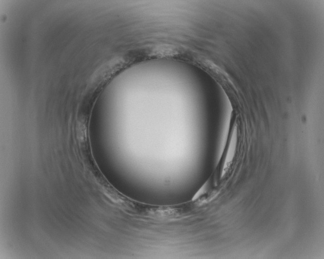 X0000062920517200602031925