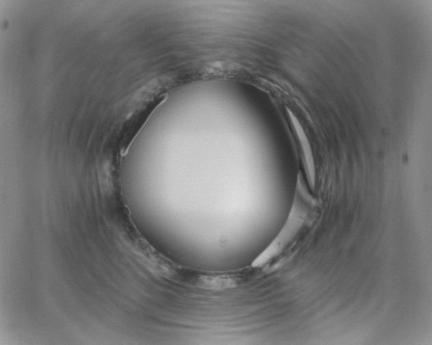 X0000062920520200602031925