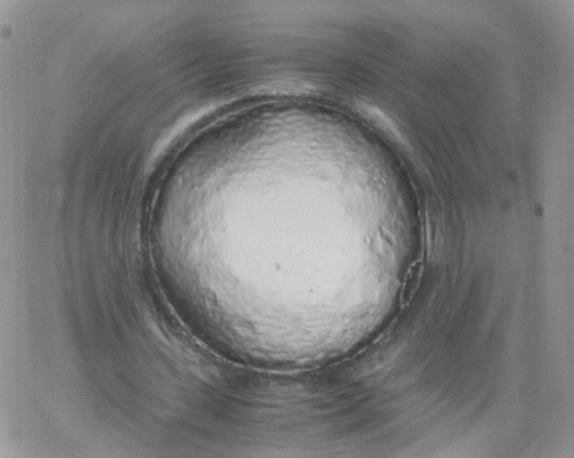 X0000062920531200602031924