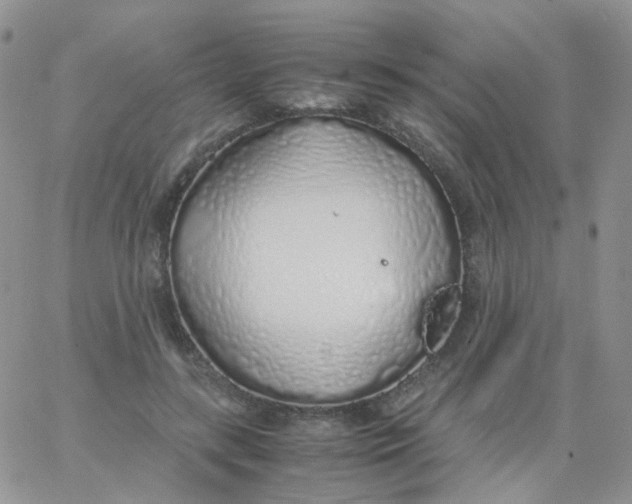 X0000062920547200602031924