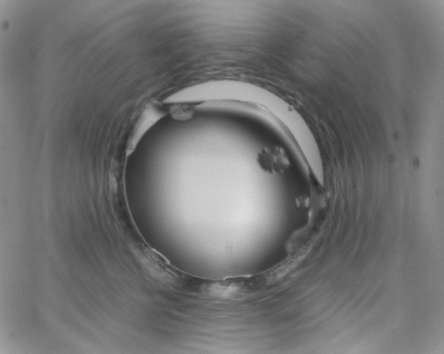 X0000062920570200602031925